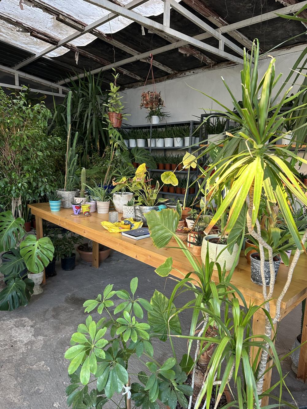 Bizim Mahalle İzmir mağazası